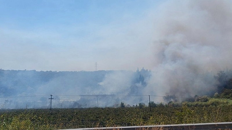 Πρέβεζα: Πλήρης έλεγχος της πυρκαγιάς χωρίς ενεργά μέτωπα