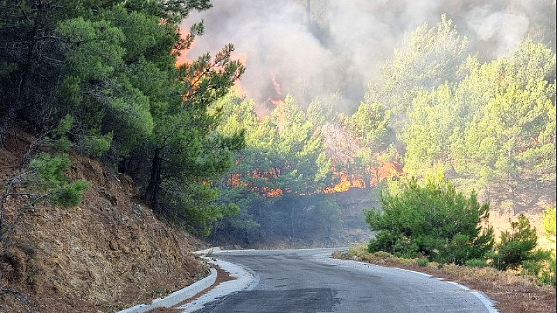 Αγριεύουν οι πυρκαγιές σε Πρέβεζα, Ζάκυνθο, Αχαΐα και Χίο