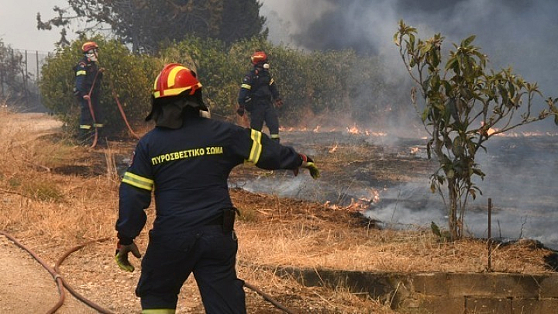 Συναγερμός για πυρκαγιά σε χαμηλή βλάστηση στα Αμπελάκια Σαλαμίνας