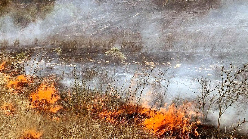Πυρκαγιά σε εξέλιξη στον Γαλατά Αιτωλοακαρνανίας