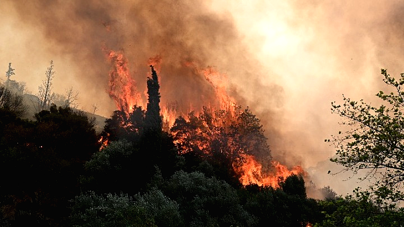 Σφοδρές πυρκαγιές σε όλη τη χώρα: 109 εστίες και 71 διακομιδές σε νοσοκομεία