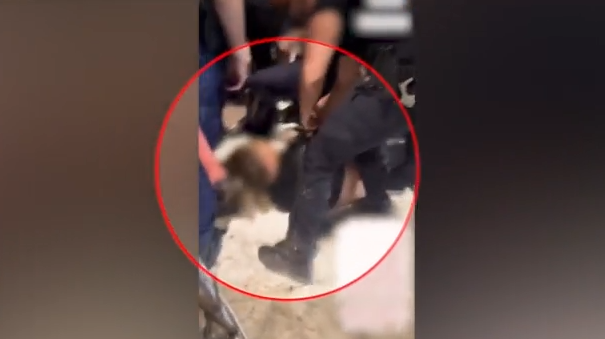 Σύνταγμα: Αστυνομικός κλωτσά ακινητοποιημένο διαδηλωτή για τη Γάζα στο πρόσωπο – Τέθηκε σε διαθεσιμότητα μετά από μήνυση