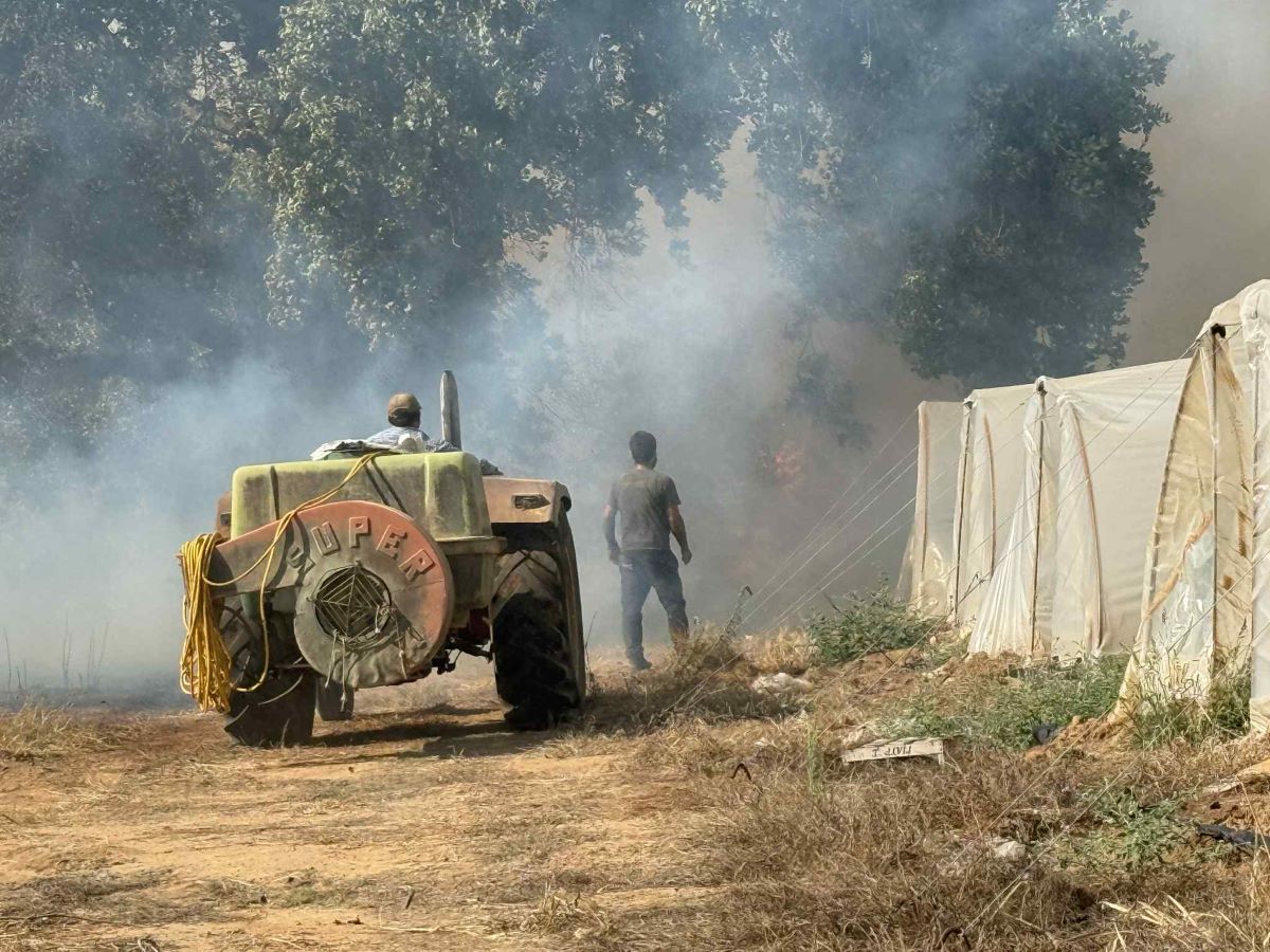 Ηλεία: Ύφεση στη φωτιά στη Μέλισσα Λεχαινών, ασφαλής ο οικισμός