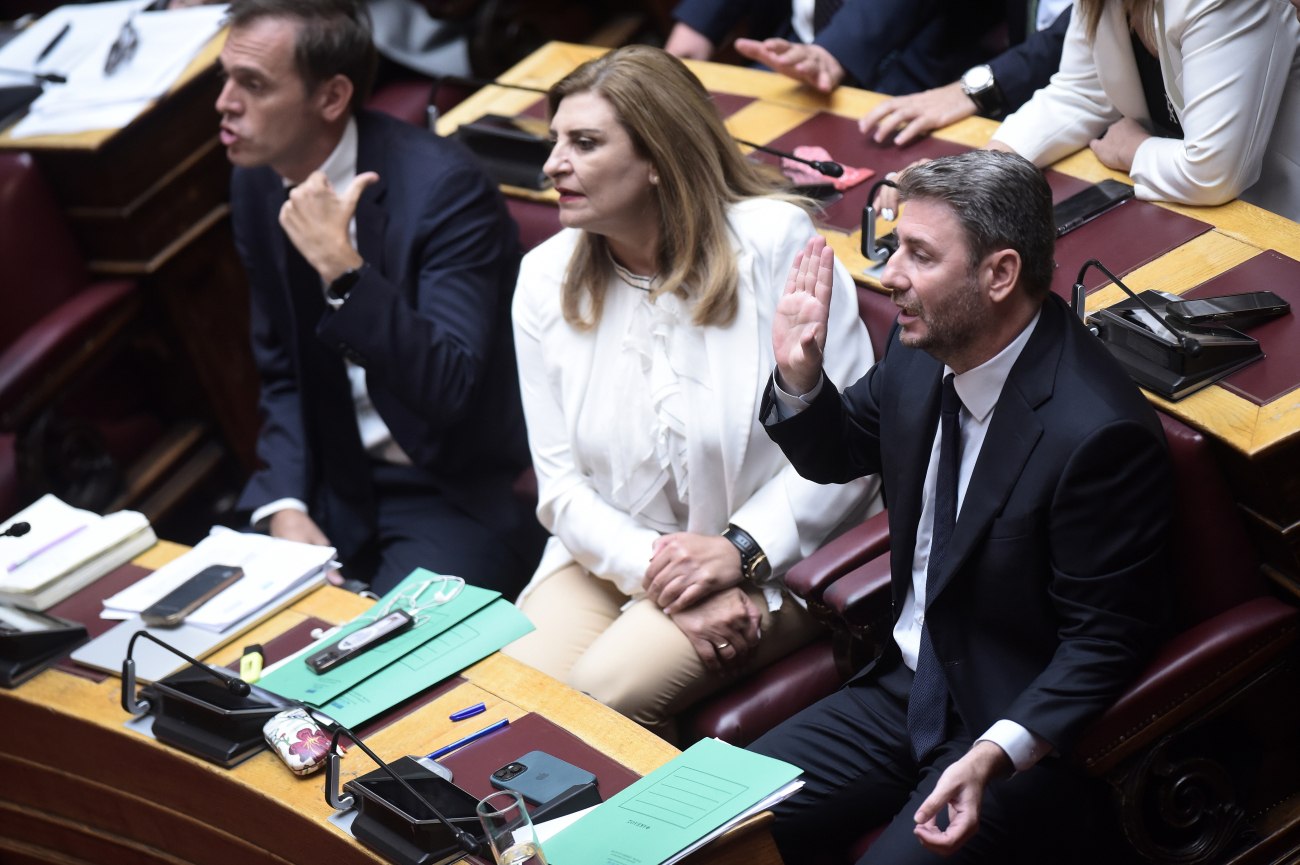 Διχασμένη κυβέρνηση και κριτική από το ΠΑΣΟΚ: Θετική αποτίμηση της στάσης Ανδρουλάκη