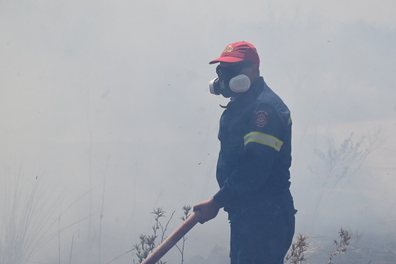 Φωτιά στην περιοχή Γαρδίκι Θεσπρωτίας: Επιχειρούν εναέρια μέσα για την κατάσβεση