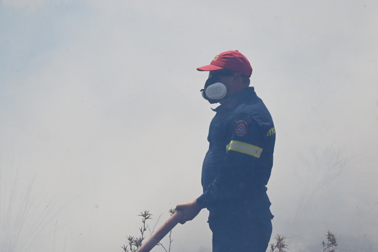 Φωτιά στην Ορεστιάδα: Καίγεται αγροτοδασική έκταση στην περιοχή Αμμόβουνο