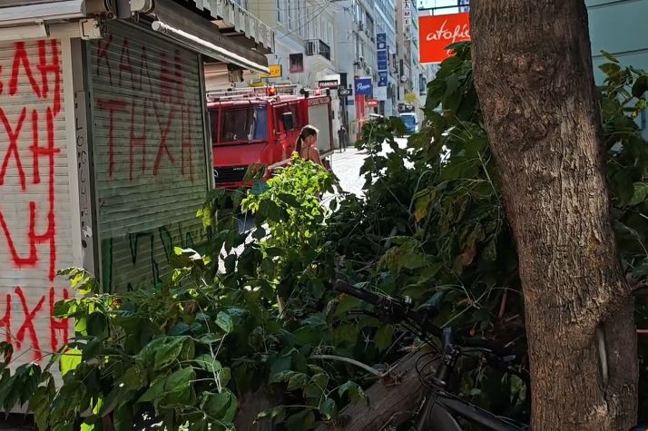 Αθήνα: Δέντρο κατέρρευσε στην Ερμού εξαιτίας ισχυρών ανέμων
