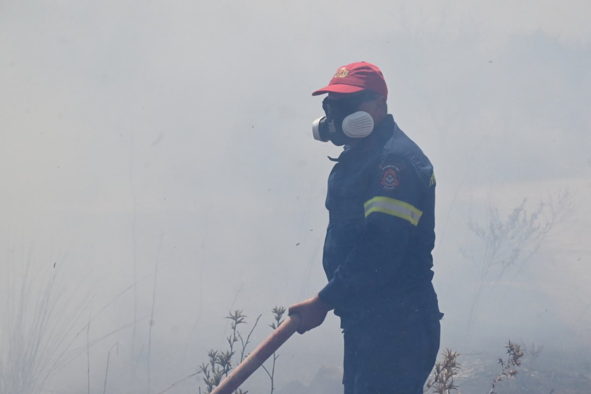 Φωτιά στην περιοχή Ριόλος Αχαΐας: Επιχειρούν τρία εναέρια μέσα