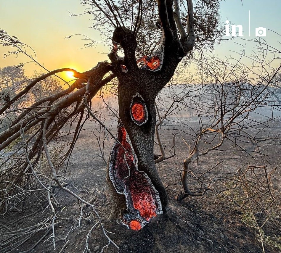 Η αγωνία και η σφοδρή μάχη με τις φλόγες στην Ανάβυσσο και την Κερατέα: Κάτοικοι διηγούνται τον πύρινο εφιάλτη