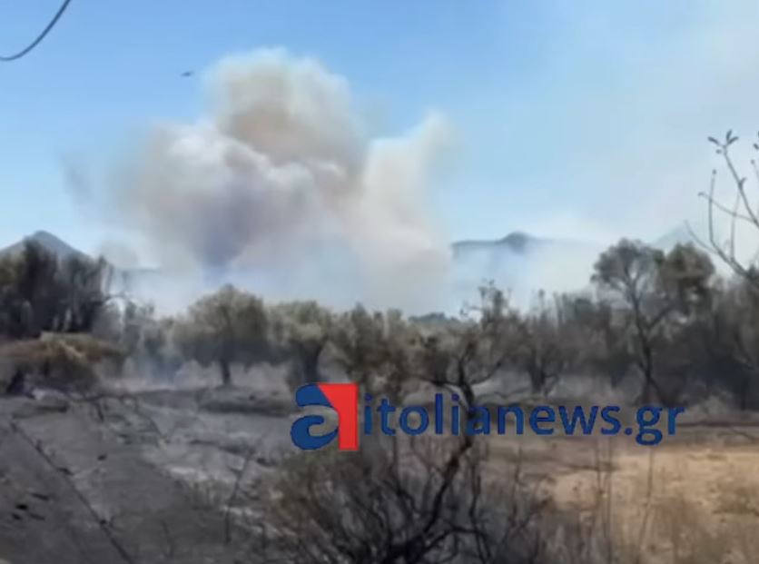Πυρκαγιά κοντά στη λίμνη Βουλκαριά – Κινητοποίηση εναέριων μέσων