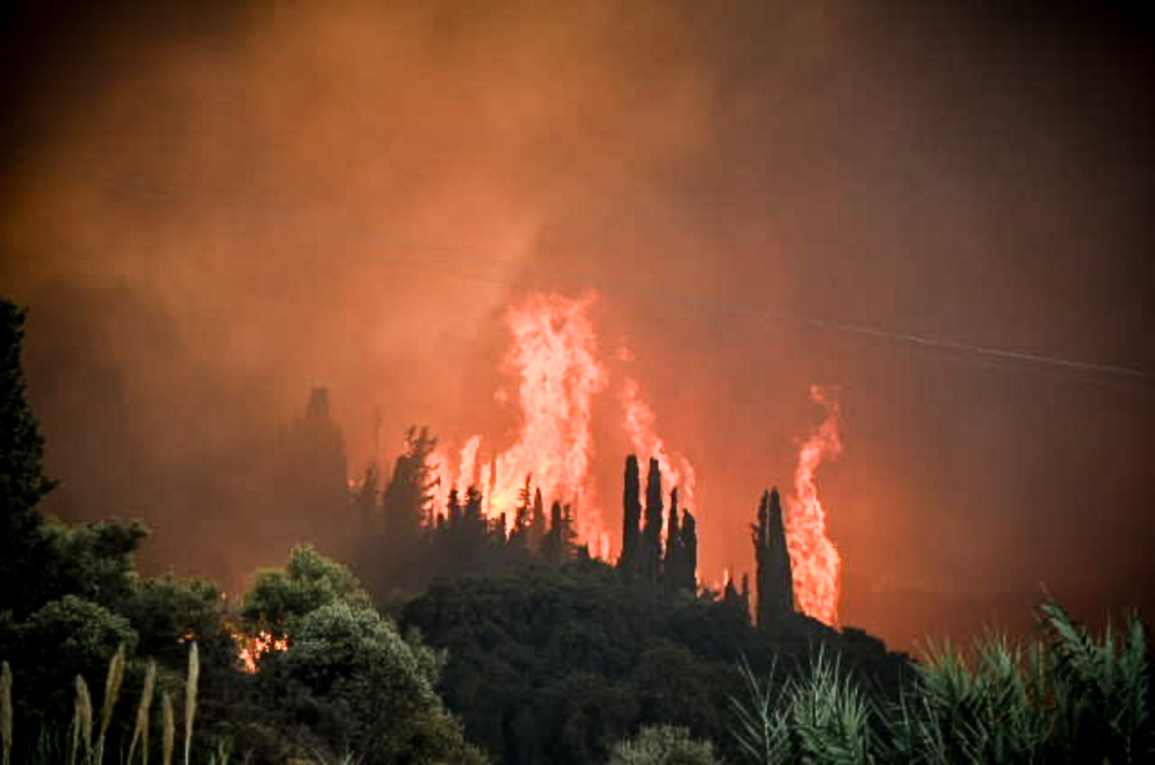 Από τον καπνό στην επιβίωση: πώς να διασφαλίσουμε την ασφάλειά μας στις δασικές πυρκαγιές