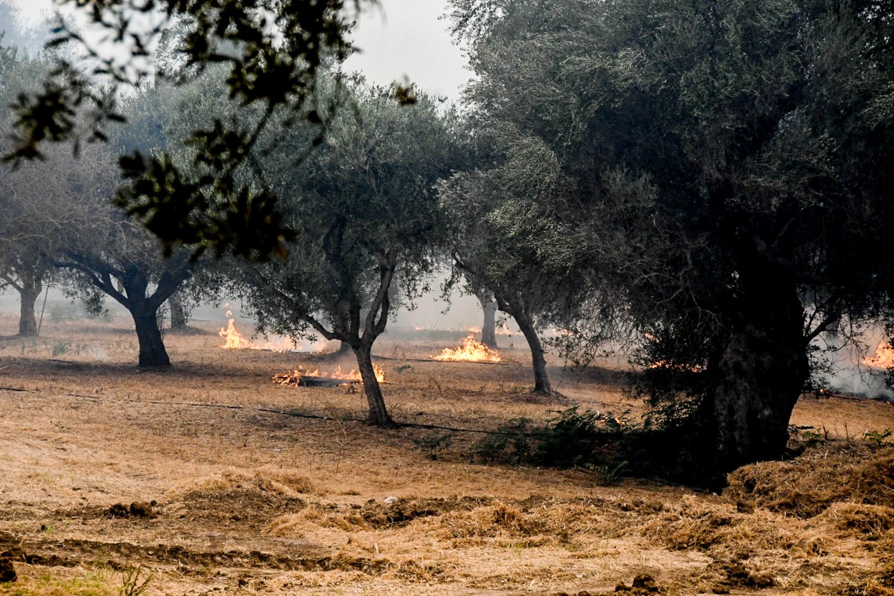 Απαλλαγή από τον ΕΝΦΙΑ για ιδιοκτήτες περιοχών που επλήγησαν από τις φωτιές