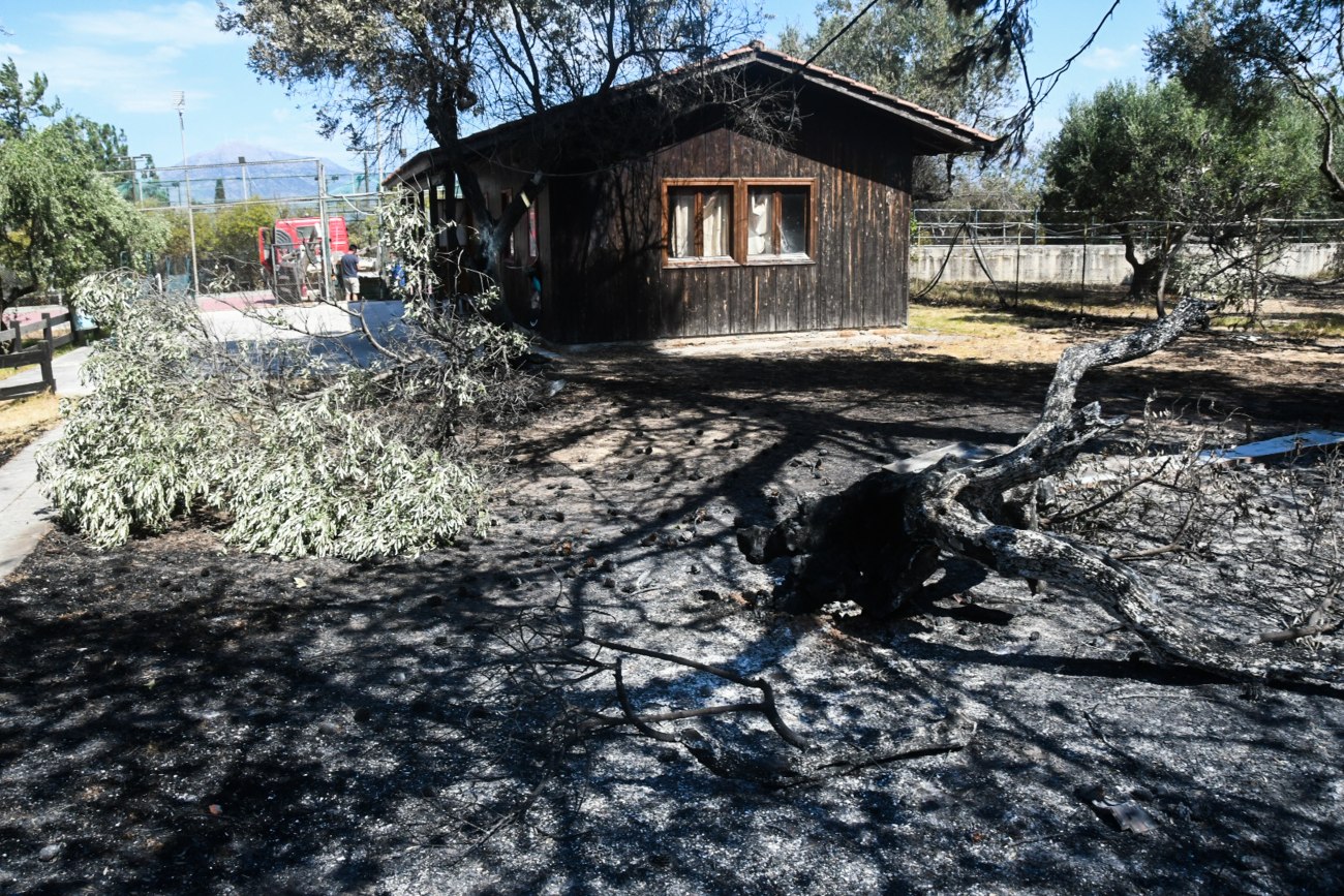 Μαρκογιαννάκη: Σημαντικές ευθύνες της κυβέρνησης για τις πυρκαγιές – Ντροπή τα σχόλια της Βούλτεψη
