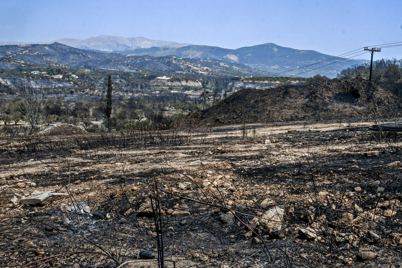 WWF για τις φωτιές: Οι καμένες εκτάσεις φέτος ξεπερνούν ήδη τον μέσο όρο της εικοσαετίας