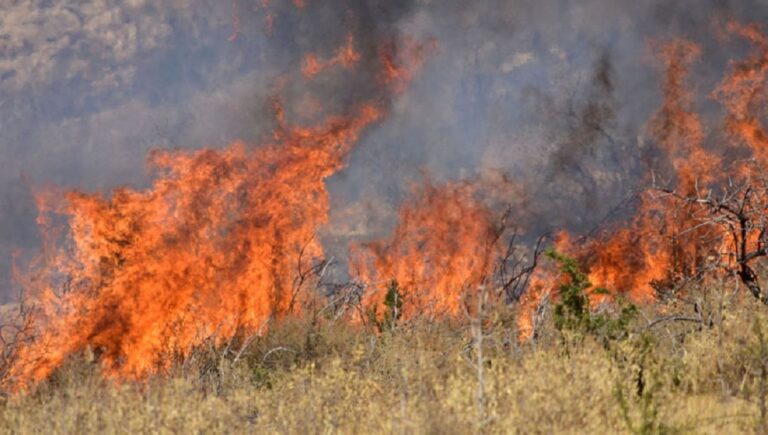 Φωτιά στην περιοχή Αγία Μαρίνα του Κορωπίου