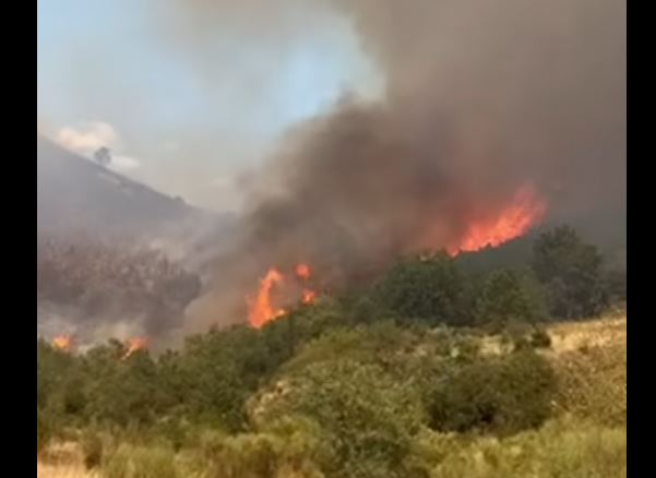 Πυρκαγιά σε εξέλιξη στο Λιβάδι Καλαβρύτων – Ενισχύθηκαν οι πυροσβεστικές δυνάμεις