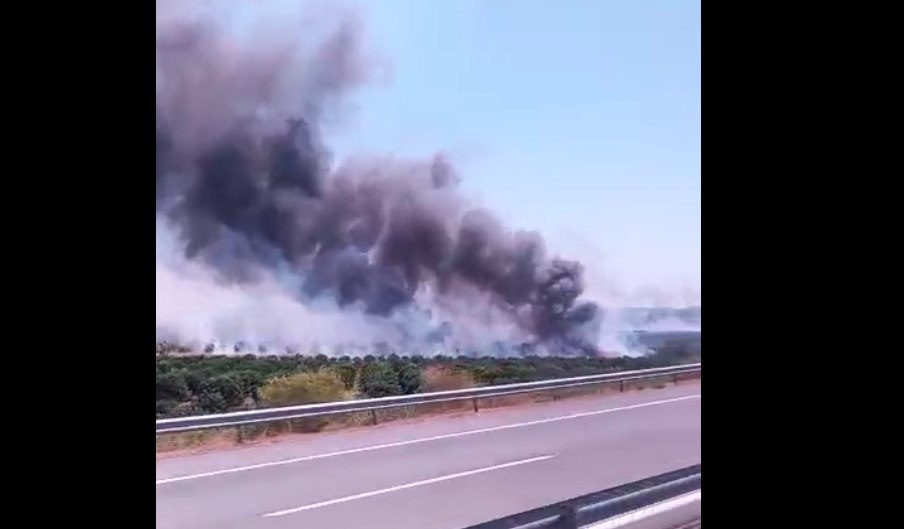Αγρίνιο: Σημαντική πυρκαγιά στην Ιόνια οδό κοντά στη Γουριώτισσα