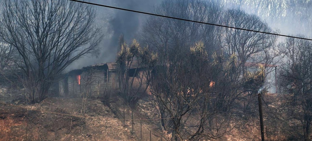Πάτρα: Νέα στοιχεία αποκαλύπτουν την αλήθεια πίσω από τις φωτιές στην Αχαΐα