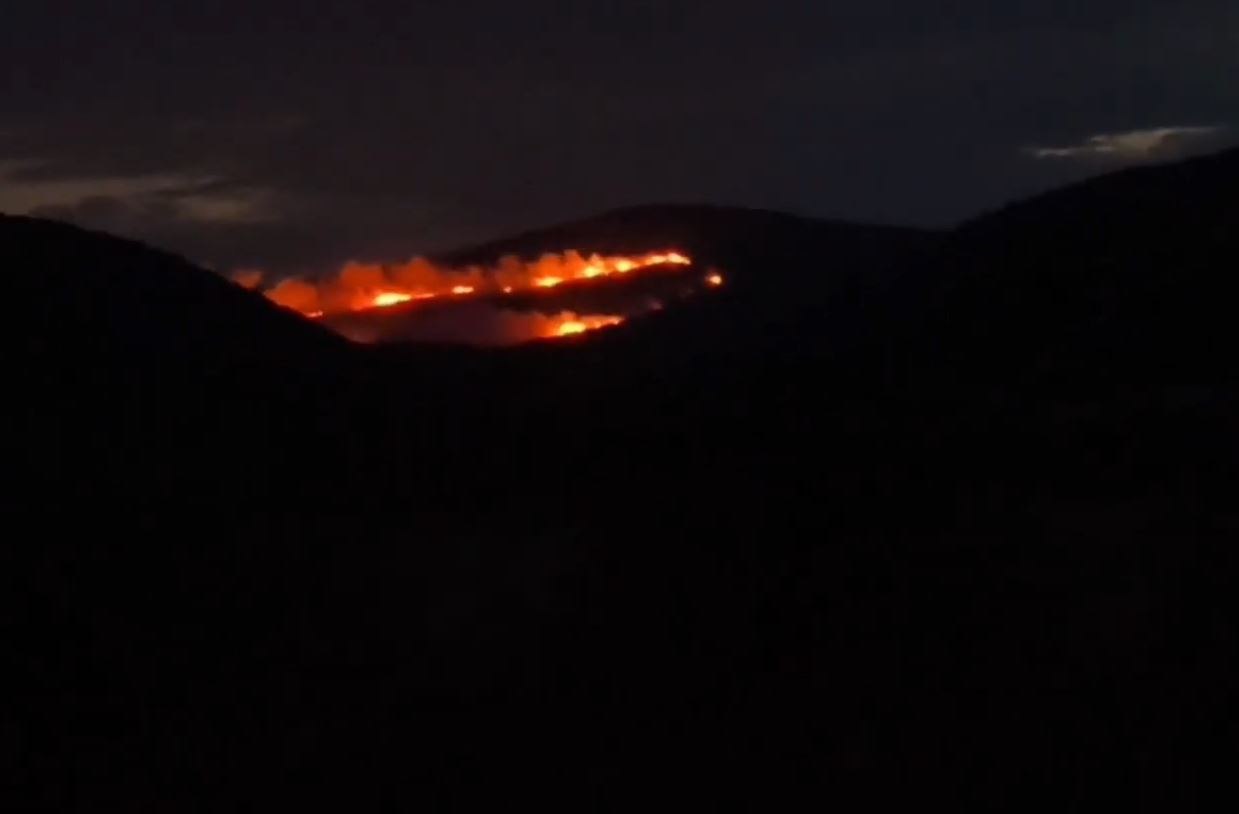 Συνεχιζόμενη η κατάσβεση της φωτιάς στον Τύρναβο με ενισχυμένες δυνάμεις