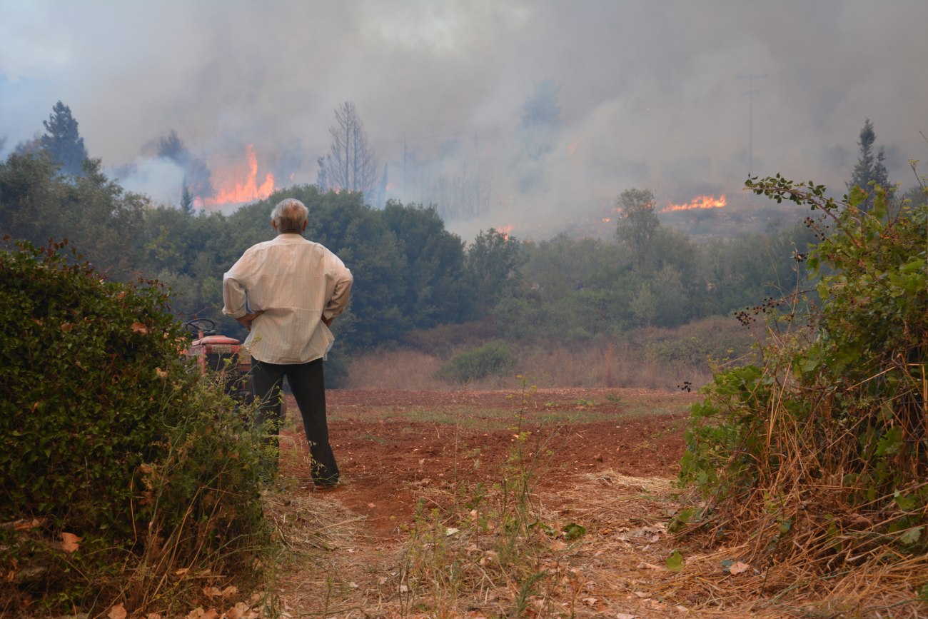 ΕΛΓΑ: Χρονοδιάγραμμα αποζημιώσεων για κτηνοτρόφους που επλήγησαν από τις φωτιές