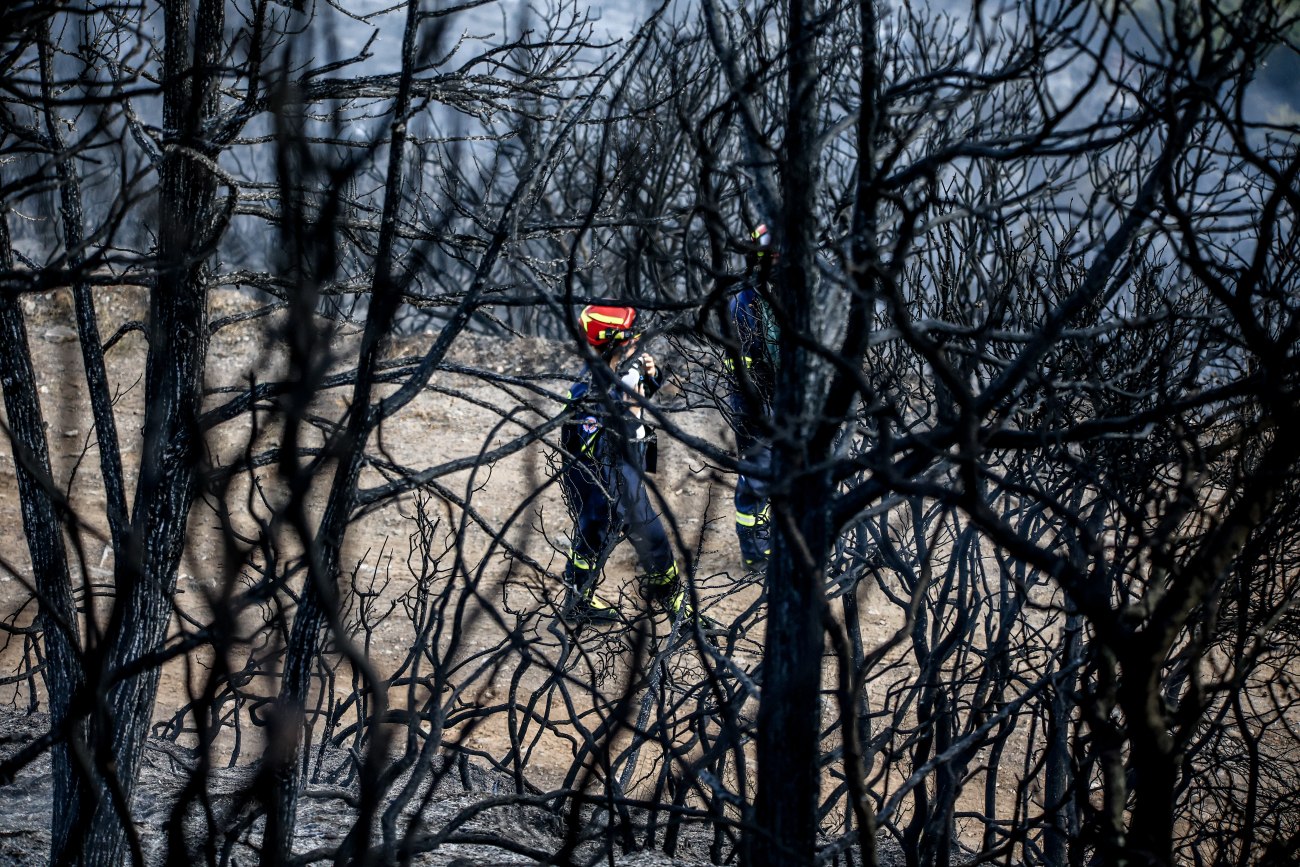 Γρεβενά: Πυρκαγιά στον εθνικό δρυμό της Βάλια Κάλντα σε απομακρυσμένη περιοχή
