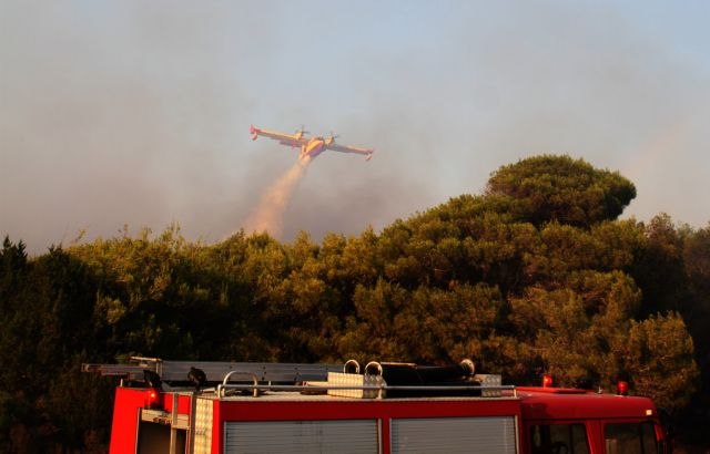 Δήμος Πύργου: Ξεκινά η διαδικασία υποβολής αιτήσεων αποζημίωσης για ζημιές από πυρκαγιές