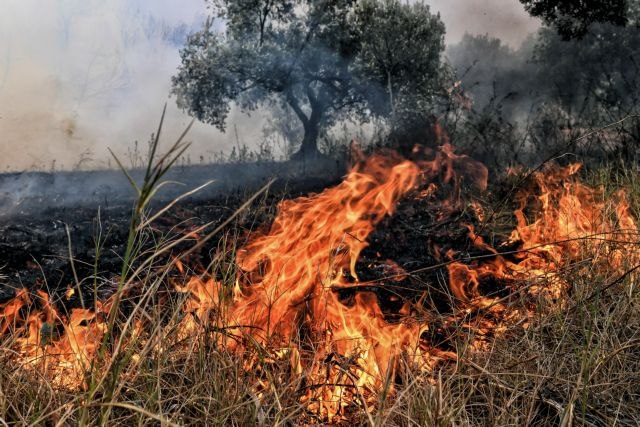 Φωτιά σε δύο μέτωπα στα Καλύβια Ηλείας