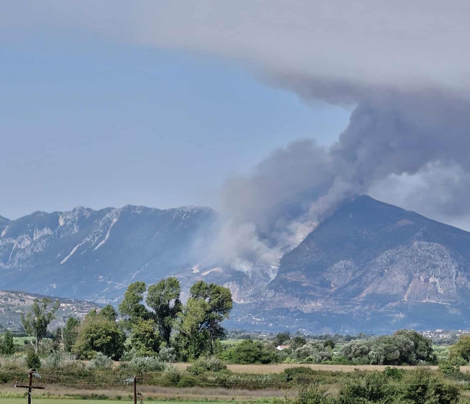 Ενίσχυση δυνάμεων κατά της φωτιάς στη Χόικα Θεσπρωτίας – 9 εναέρια μέσα σε επιχειρήσεις κατάσβεσης