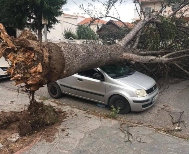 Κακοκαιρία: 100 κλήσεις δέχθηκε η Πυροσβεστική λόγω ισχυρών βροχοπτώσεων και θυελλωδών ανέμων