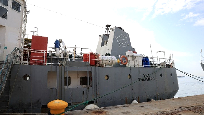 Ανοιχτό για το κοινό το Sea Eagle που απελευθερώνει χταπόδια από παγίδες