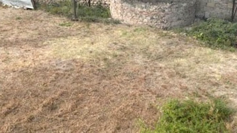 Βοιωτία: Σοκαριστική αποκάλυψη για 62χρονη που έθαψε τη μητέρα της σε στάβλο