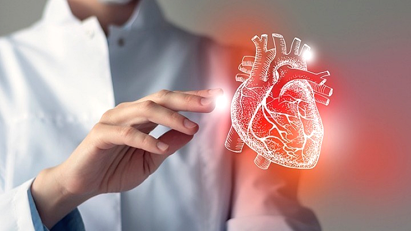 Πρόταση της ελληνικής καρδιολογικής εταιρείας για την ένταξη της εκπαίδευσης στην ΚΑΡΠΑ στη διαδικασία χορήγησης διπλώματος οδήγησης