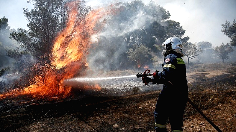 Φωτιά σε αγροτοδασική περιοχή της Λιοδώρας στην Αρκαδία