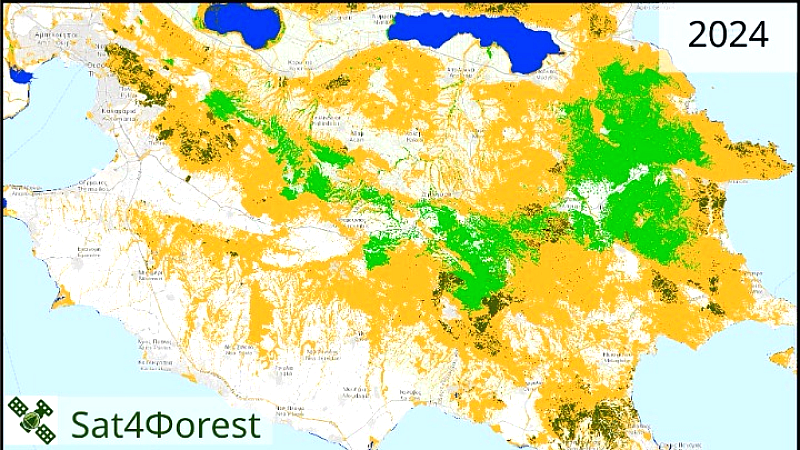 Χαρτογράφηση της υγείας των ελληνικών δασών από επιστήμονες του ΑΠΘ