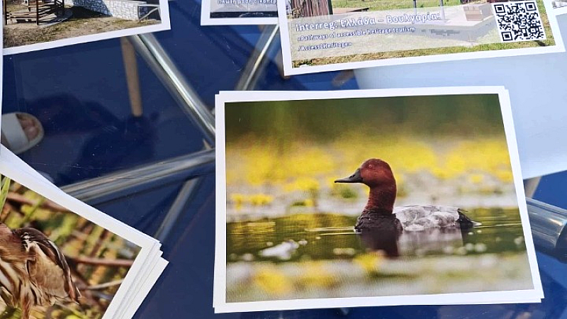 Εξερεύνηση των περιοχών Natura 2000 στην Κεντρική Μακεδονία από το Europe Direct