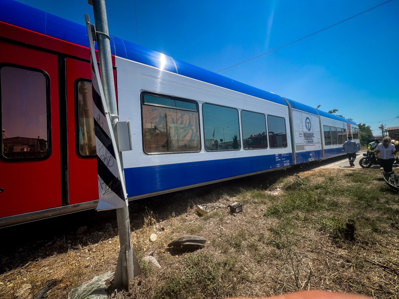 Ατύχημα τρένου με κοπάδι ζώων στην Αλίαρτο προκαλεί καθυστέρηση