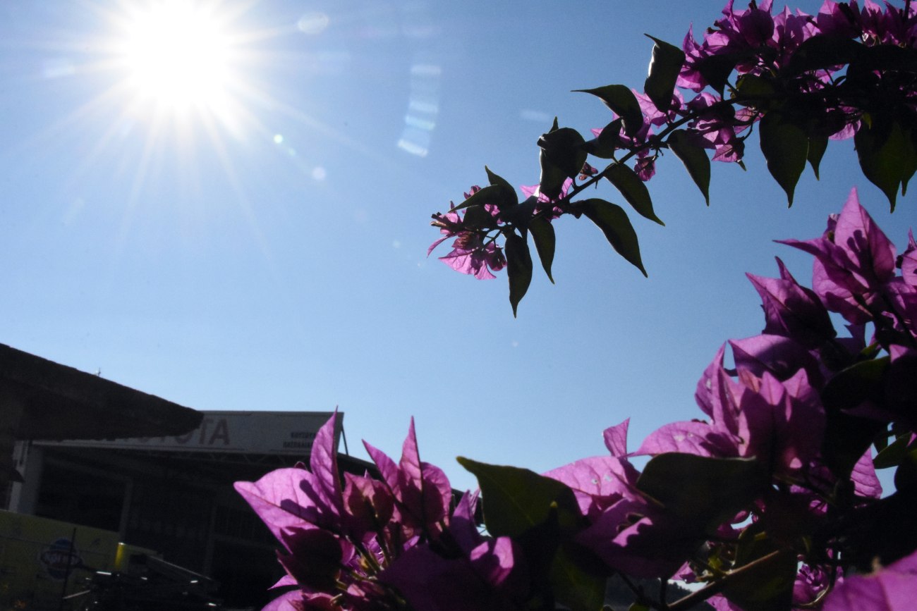 Καιρός: Άνοδος θερμοκρασίας έως 36°C και άνεμοι 7 μποφόρ στο Αιγαίο