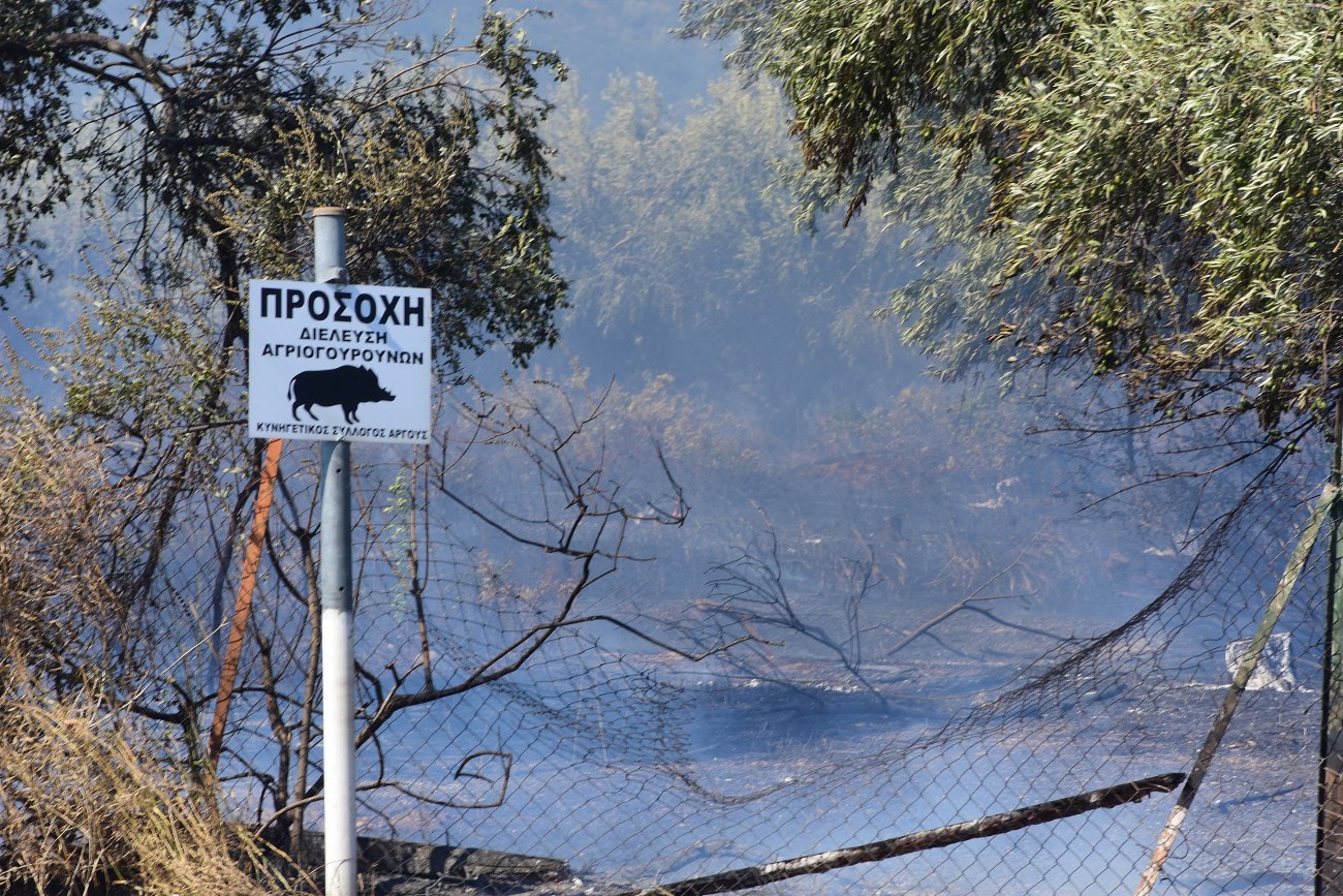 Τραγωδία στην Αρκαδία: Θανάσιμος πυροβολισμός από λάθος κατά τη διάρκεια κυνηγιού