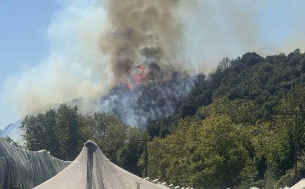 Πυρκαγιά στην περιοχή Μυρτόφυτο Παγγαίου Καβάλας: Επιχειρούν αεροσκάφη και ελικόπτερο