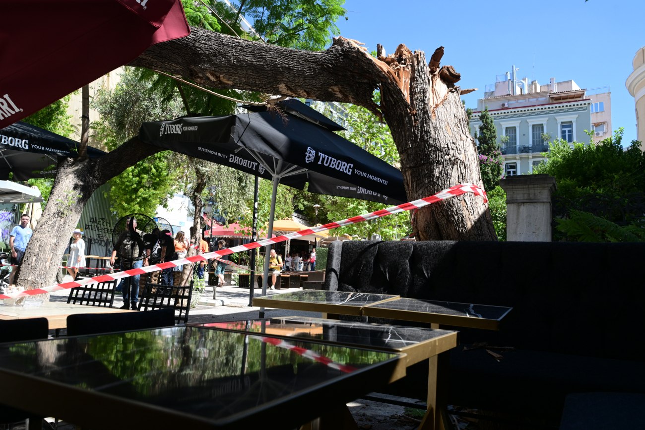 Πτώση δέντρου στην πλατεία Αγίας Ειρήνης: Έχασα πολύ αίμα, δηλώνει η τραυματίας