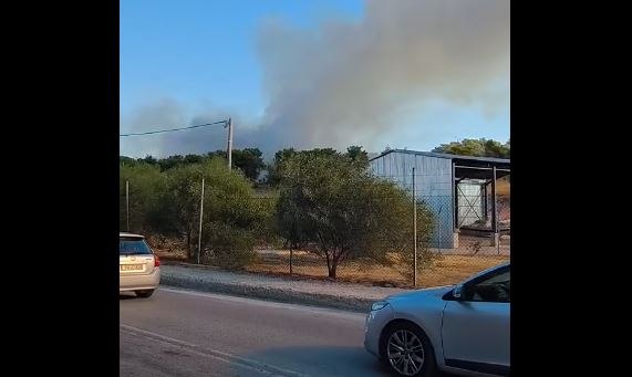 Πυρκαγιά σε δασική έκταση στα Μέγαρα – Επιχειρούν ενισχυμένες πυροσβεστικές δυνάμεις