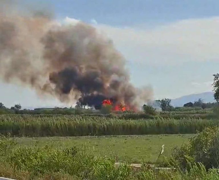 Συναγερμός για φωτιά στο Αριοχώρι Καλαμάτας