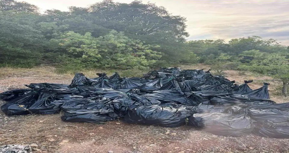 Εξάρθρωση σπείρας ναρκωτικών με κέρδη 8 εκατομμυρίων ευρώ – Κατασχέθηκαν όπλα και πάνω από ένας τόνος κάνναβης