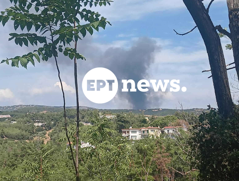 Θεσσαλονίκη – Πυλαία: Φωτιά σε δασική έκταση, εστάλη μήνυμα 112