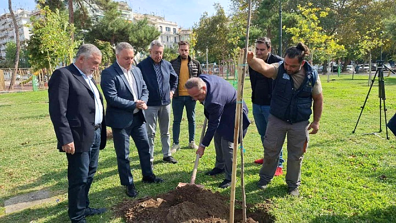 Στην καρδιά της Θεσσαλονίκης φυτεύτηκαν εκατό δέντρα για τον εορτασμό των 100 χρόνων του ΕΕΘ