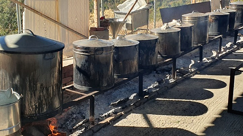 Καβάλα: Η παράδοση ζωντανεύει στην Ορεινή Γιορτή Κτηνοτροφίας