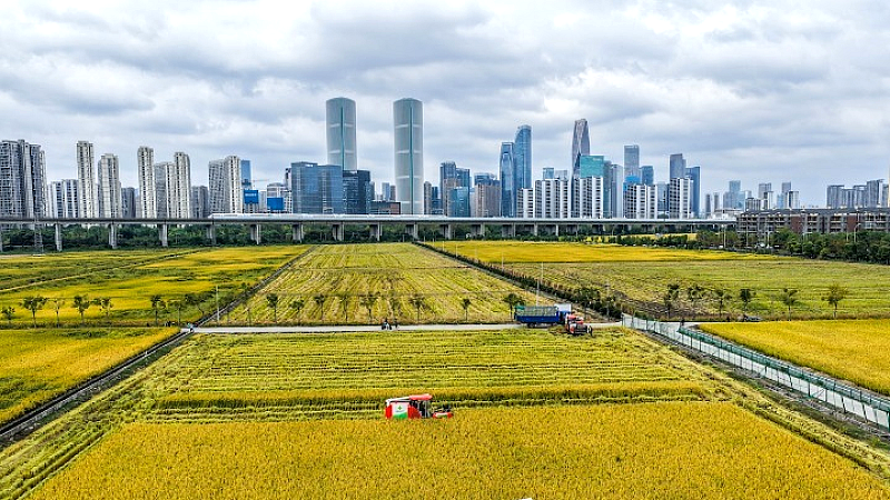 Διεθνές φόρουμ στην Κίνα για τη συνεργασία και τον διάλογο των νέων επιχειρηματιών