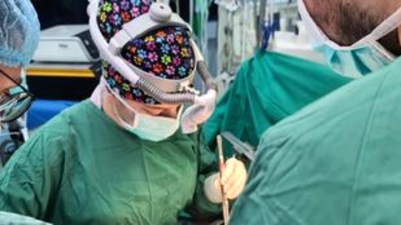 Η Κωνσταντίνα Ελένη Καρακάση: Η πρώτη γυναίκα χειρουργός μεταμοσχεύσεων ήπατος στην Ελλάδα