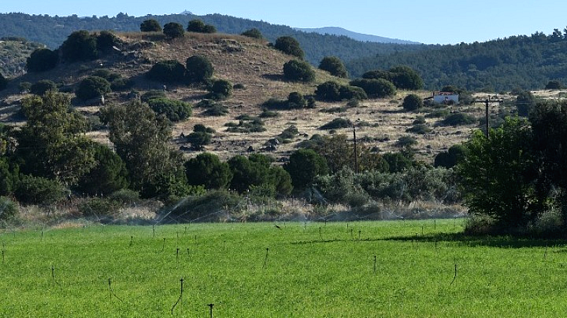 Μυτιλήνη: Παραχώρηση δημοτικής έκτασης για την ανασκαφή και ανάδειξη της αρχαίας Αρίσβης