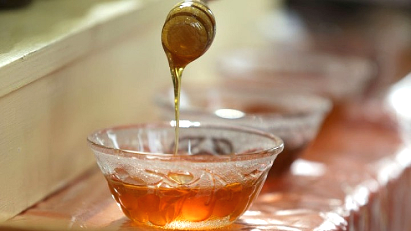 Συνέδριο «Tomorrow Tastes Mediterranean 2025»: Η Ελλάδα πρωτοστατεί στη διεθνή σκηνή της μεσογειακής διατροφής